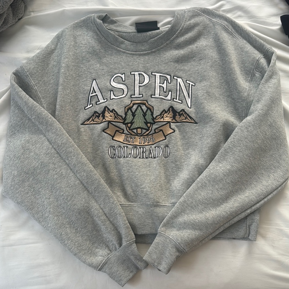 Gray Aspen Crew Neck Sweater